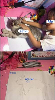 Девочка создала популярный мем, придумав странный способ нарисовать кота 