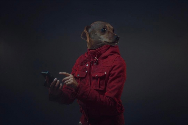 Собака – отражение хозяина: фотопроект Айзека Альвареса