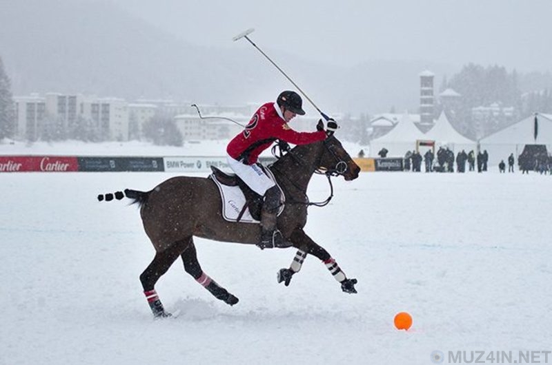 25 самых странных спортивных состязаний в мире