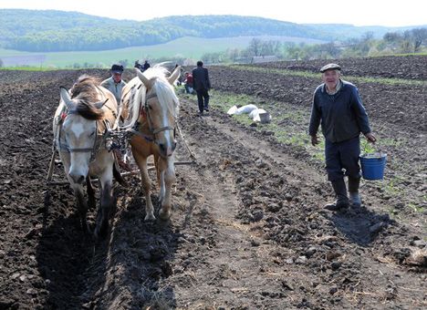 В Украине стартовала «земельная реформа» 