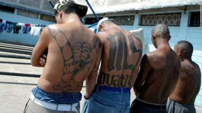 Как выглядят камеры «воров в законе» в тюрьмах Гондураса. Фото