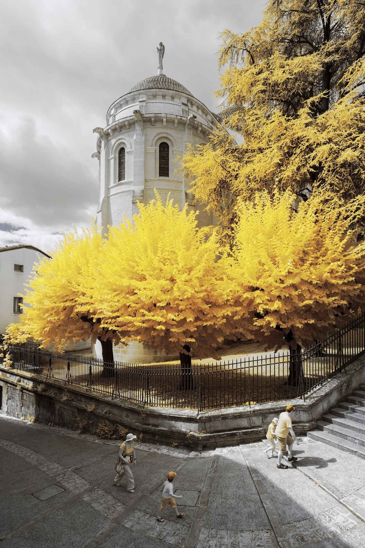 Жёлтые осенние инфракрасные фотографии Пьера-Луи Феррера