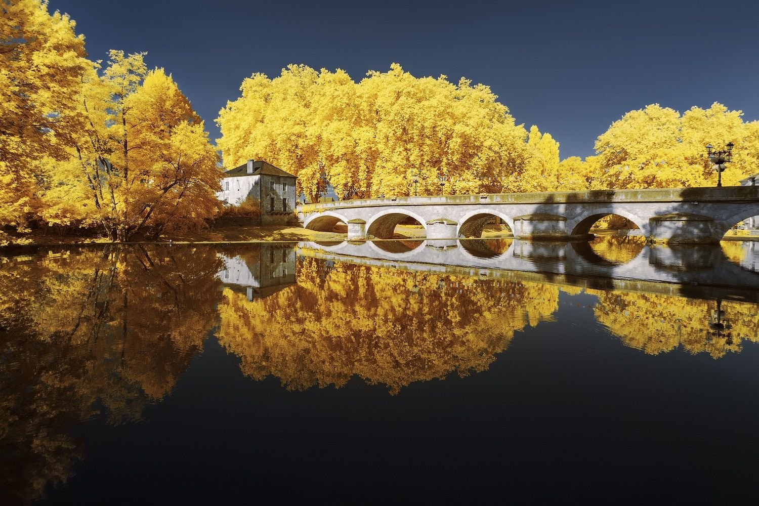 Жёлтые осенние инфракрасные фотографии Пьера-Луи Феррера