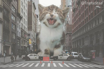 Просто добавь кота: подборка смешных фотоколлажей