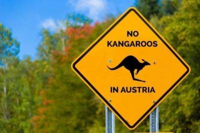 С Австралией перепутал: на севере Австрии гулял кенгуру