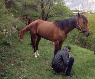 Смешные фотки, на которые придется взглянуть дважды