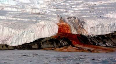 Необычные вещи, найденные среди льдов Антарктиды. Фото