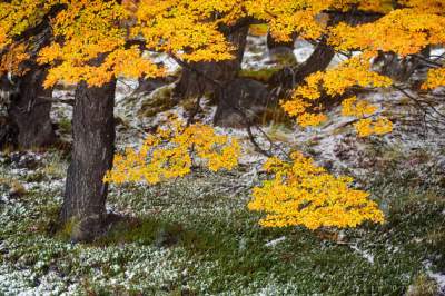 Природа Патагонии в незабываемых пейзажах. Фото