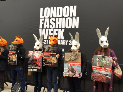 Мех животных запретили демонстрировать на неделе моды