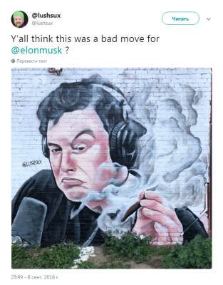 Курящего марихуану Маска высмеяли забавным граффити