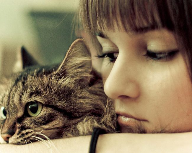 Из-за кошек женщины становятся более склонны к суициду