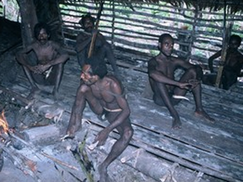 Каннибалы из Папуа-Новой Гвинеи, съев семерых, сорвали местные выборы