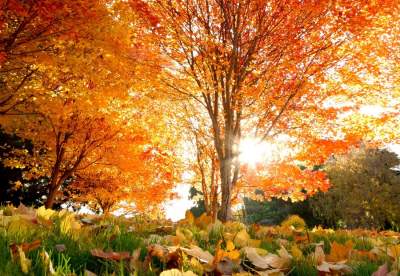 Осенние пейзажи от самых талантливых фотографов. Фото