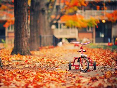 Осенние пейзажи от самых талантливых фотографов. Фото