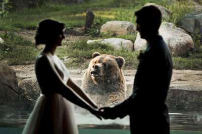 Медведь на свадебных фото стал хитом Сети