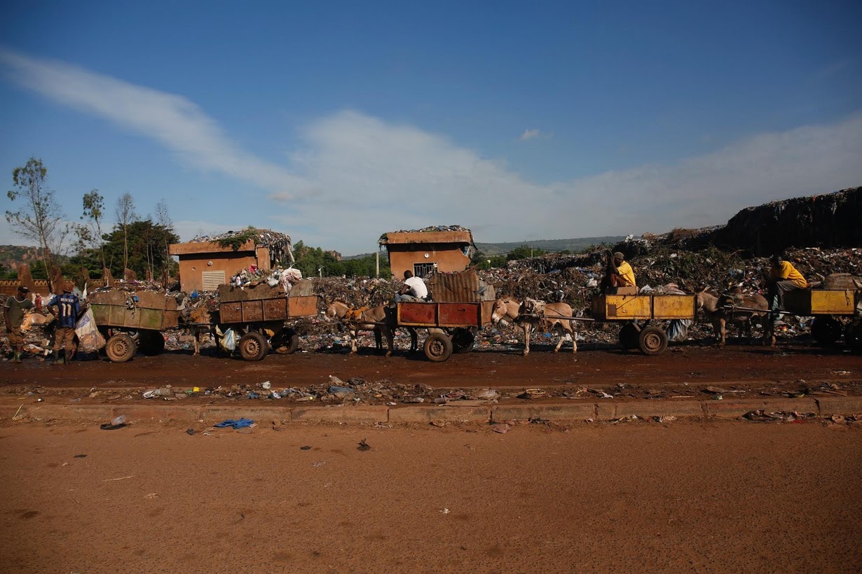 Как ослики помогают бороться с мусором в Мали