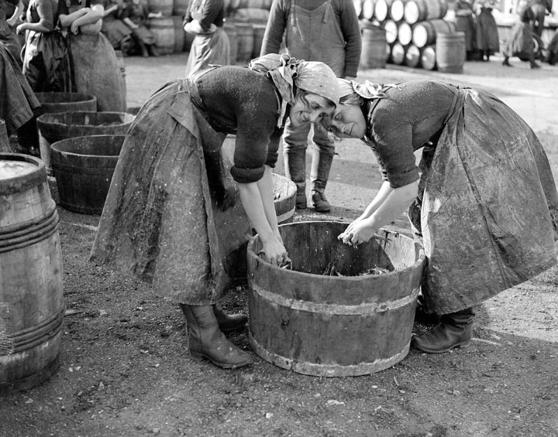 Девушки-селедки в британских доках в 1920-х годах