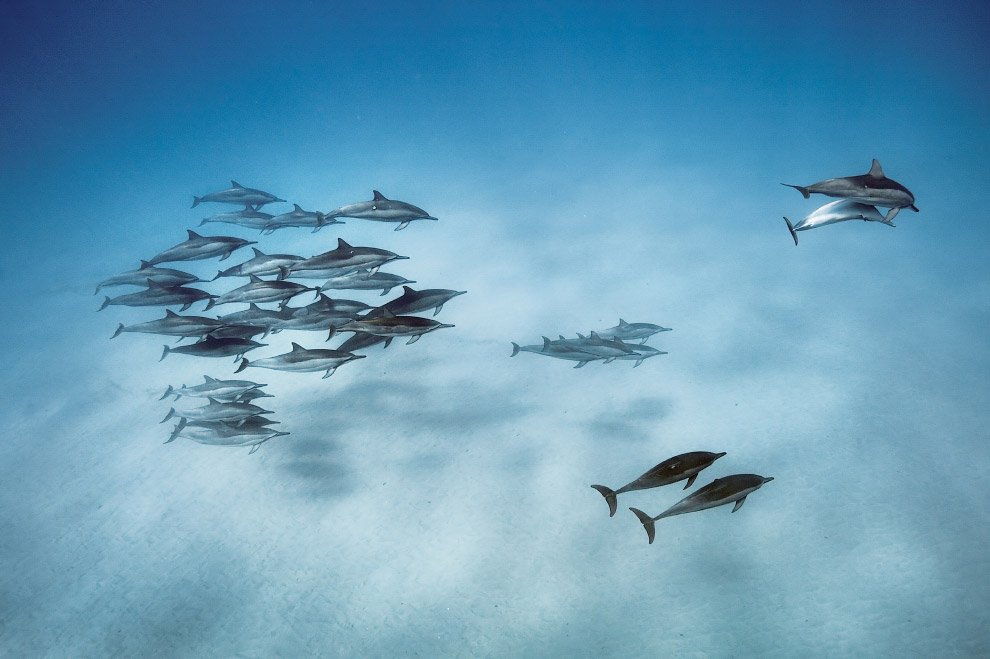 Воздух, земля и море от National Geographic