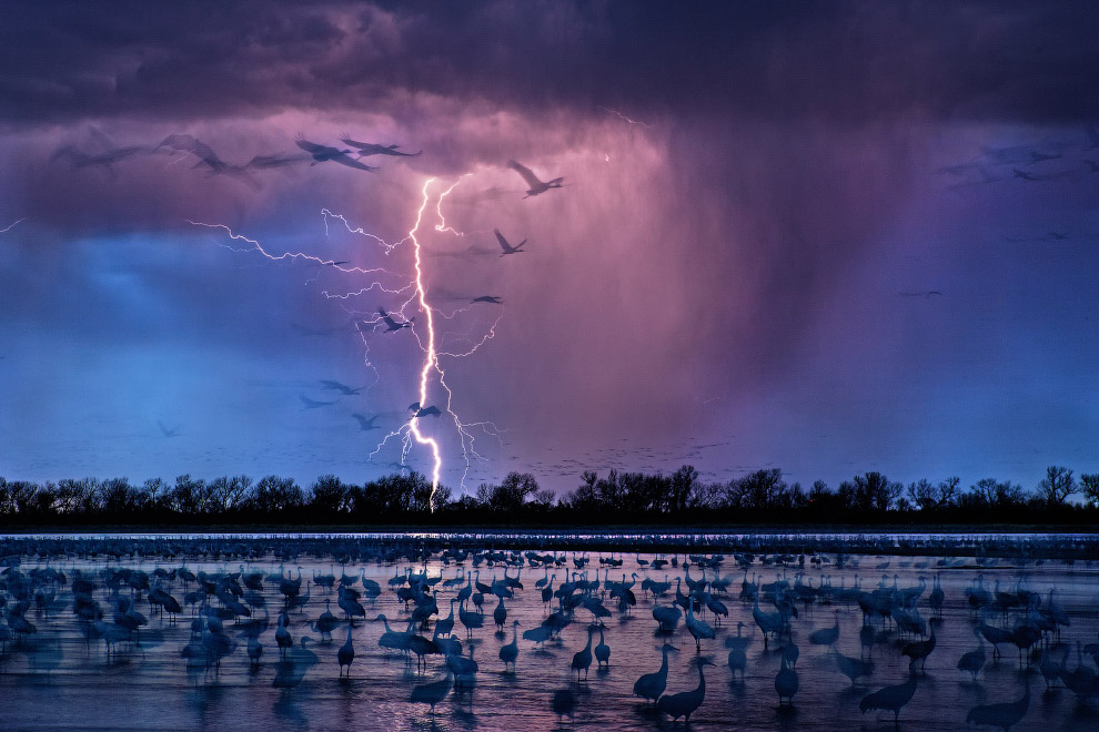 Воздух, земля и море от National Geographic