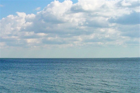 Температура Черного моря – аномально высокая