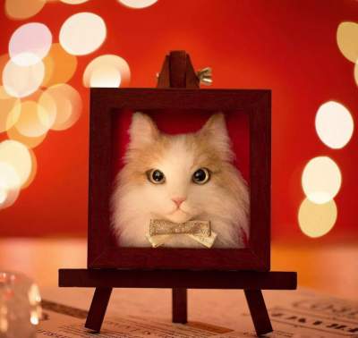 Невероятно реалистичные 3D-портреты кошек. Фото