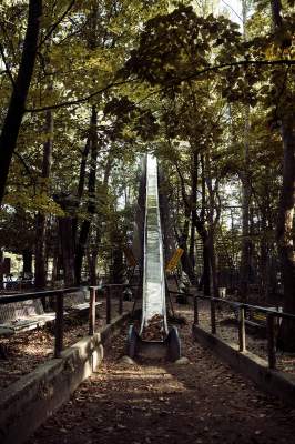 Итальянец своими силами соорудил лесной парк аттракционов	