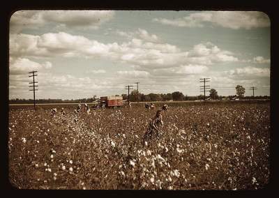 США времен Великой депрессии в редких снимках. Фото