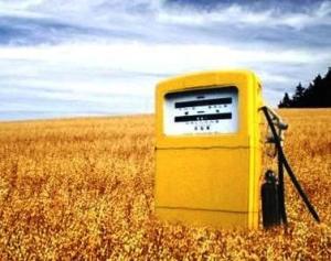 Европейские "зеленые": Украина может заместить российский газ биотопливом
