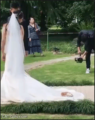 Свадебные неожиданности, к которым не готовились, но они все равно случились