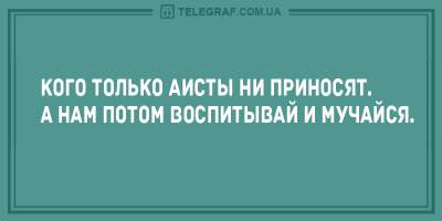 Поднимаем настроение: десятка отличных анекдотов