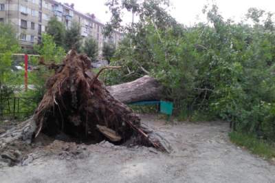 Киевляне продолжают шутить над ночной непогодой