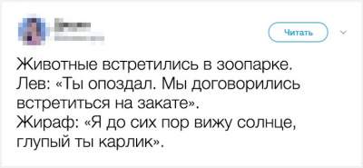 В Сети поделились самыми смешными выходками домашних питомцев