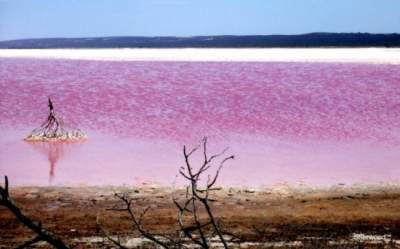 Фотографы показали инопланетные пейзажи со всего мира. Фото