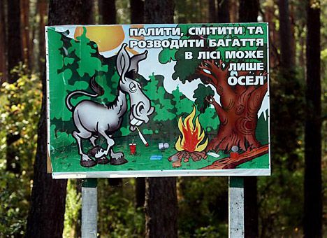 МЧС грозит уголовной ответственностью за поездки по лесу в жару 