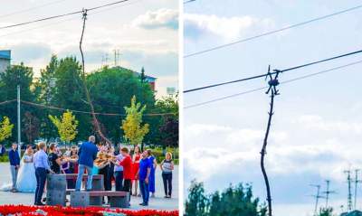 Смешные фотки, скрывающие закрученный сюжет