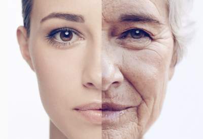 Ученые нашли средство, замедляющее старение