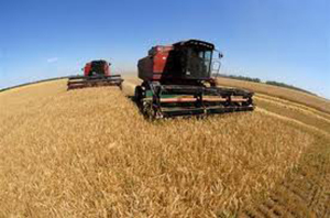 Украина потеряла уже 8 миллионов тонн зерна
