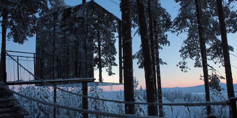 Роскошный отель с домами на деревьях (ФОТО)