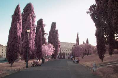 Как выглядит Рим в инфракрасных лучах. Фото