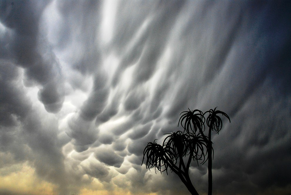 Необычные облака: Mammatus. ФОТО