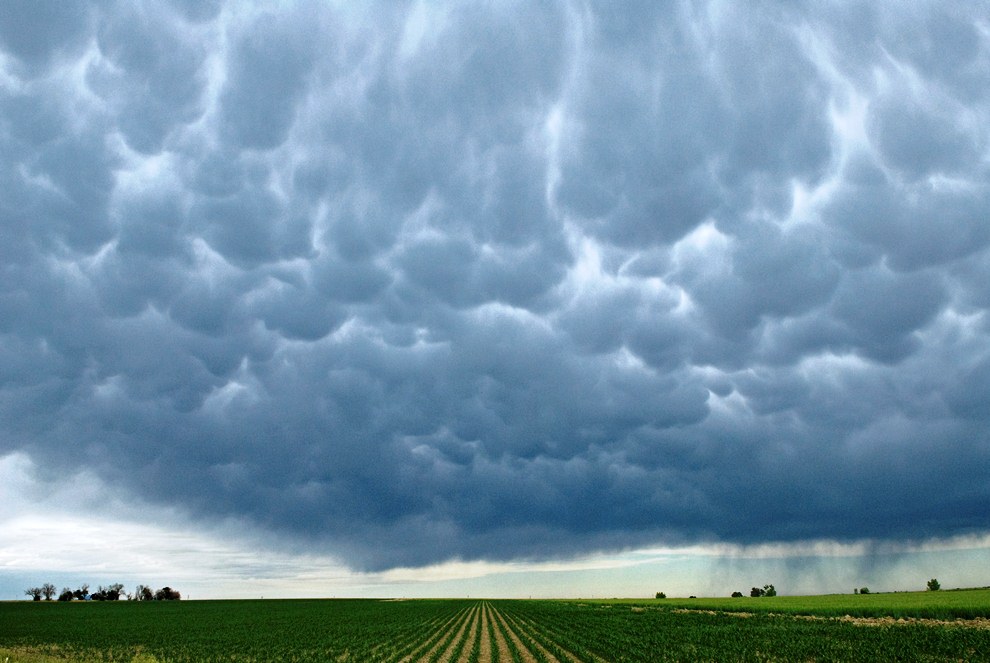 Поразительные вымяобразные облака Mammatus