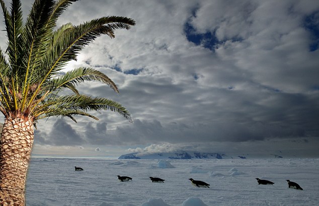 В Антарктике когда-то росли пальмы 