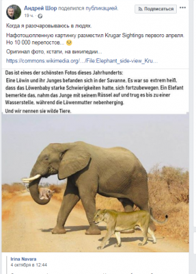 Фейковое фото слона и льва впечатлило соцсети