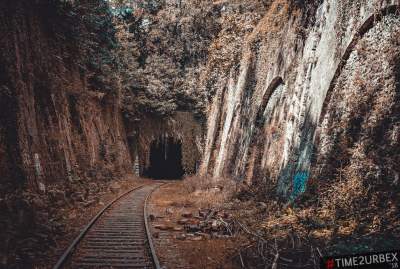 Эта заброшенная железная дорога в Париже привлекает много туристов. Фото