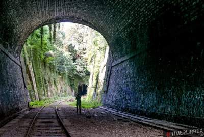 Эта заброшенная железная дорога в Париже привлекает много туристов. Фото