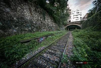Эта заброшенная железная дорога в Париже привлекает много туристов. Фото