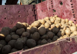Британские ученые предлагают лечить язву желудка картофельным соком