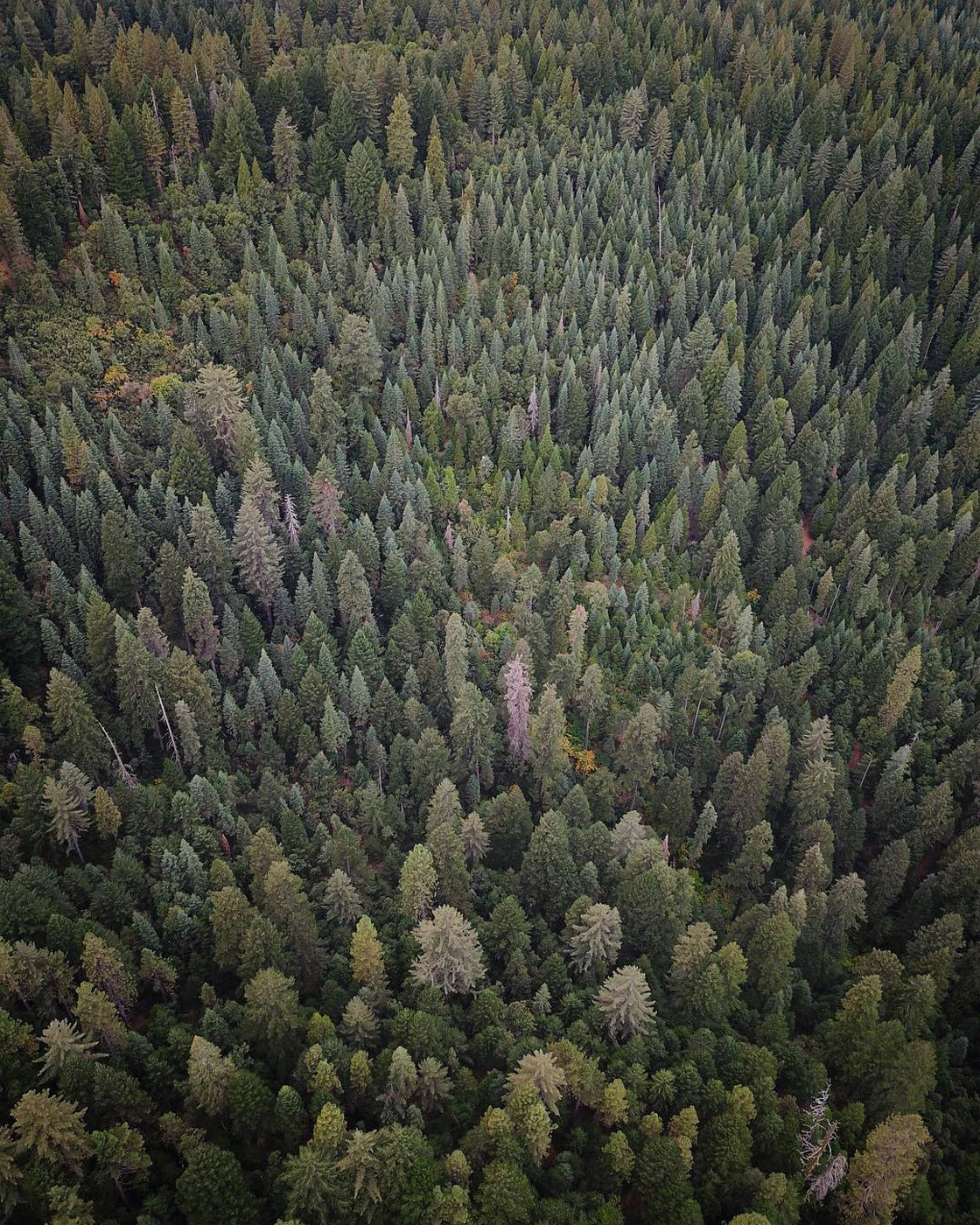 Калифорния, какой её мало кто видит. ФОТО