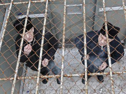 Украина бьёт рекорды по количеству заключённых в СИЗО