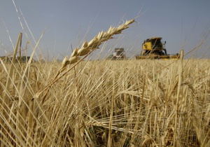 США понизили прогноз урожая зерна в Украине